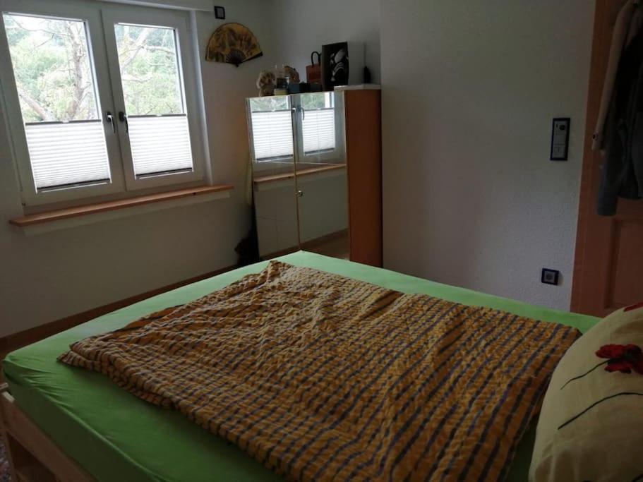Ferienwohnung Apartment Doppelzimmer In Der Villa Naturpark Rheinblick, Ruhig, Aussicht, Pool Koblenz (Rhineland-Palatinate) Exterior foto