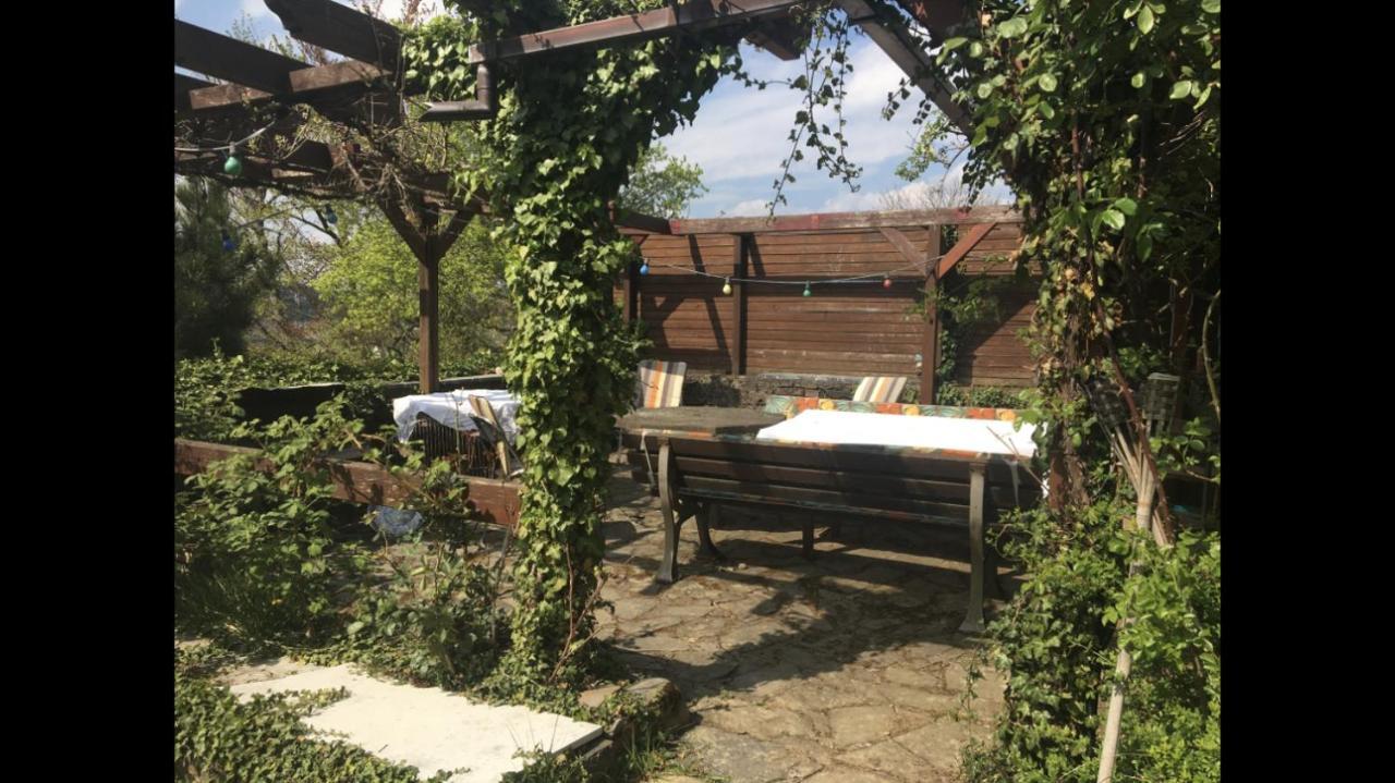 Ferienwohnung Apartment Doppelzimmer In Der Villa Naturpark Rheinblick, Ruhig, Aussicht, Pool Koblenz (Rhineland-Palatinate) Exterior foto